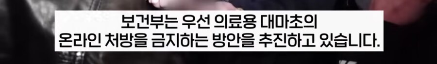 대마초 합법화한 독일 근황._10.png