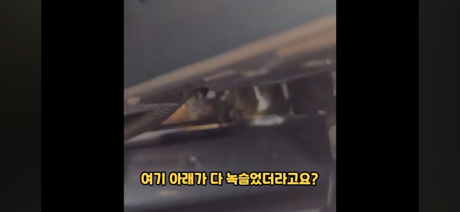 녹스는 전기차 BYD_2.jpg