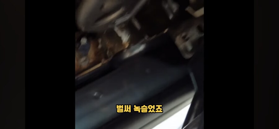 녹스는 전기차 BYD_4.jpg