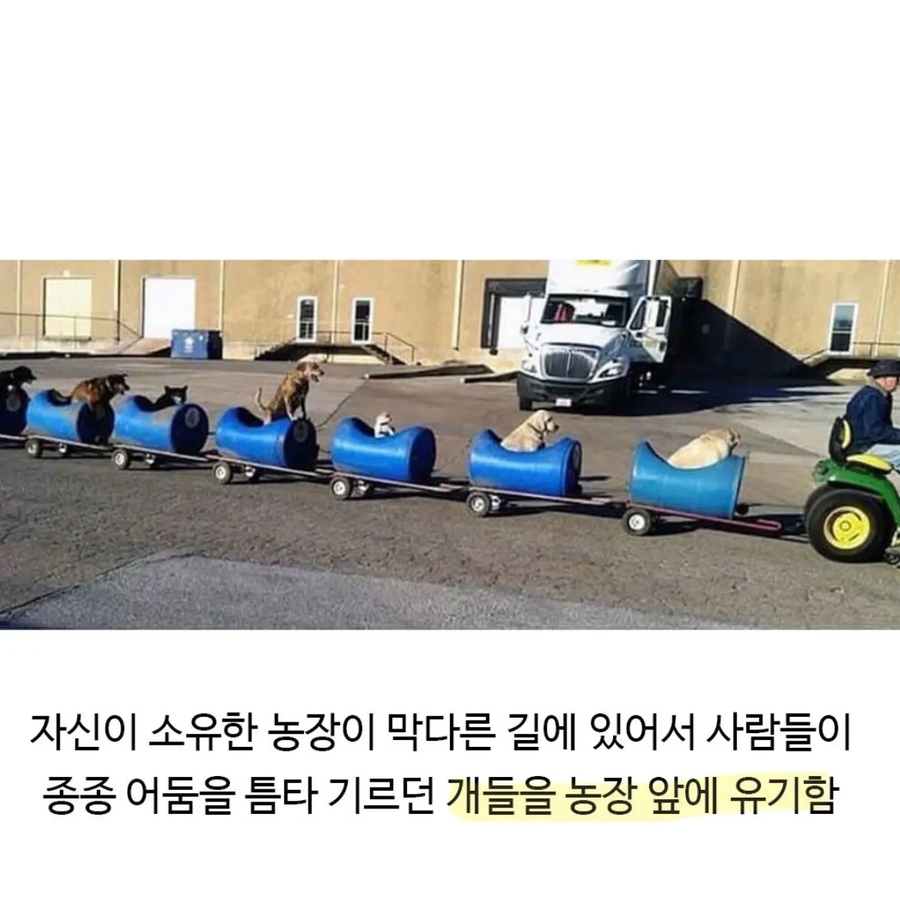 80세 할아버지가 산책하는법_2.webp
