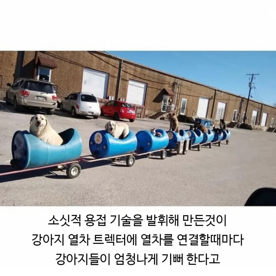 80세 할아버지가 산책하는법_5.webp
