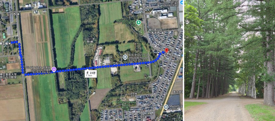 관광객이 없어서 더 좋아! 일본의 소도시 오비히로 여행 ep.1 (스압, 영상)_39.png