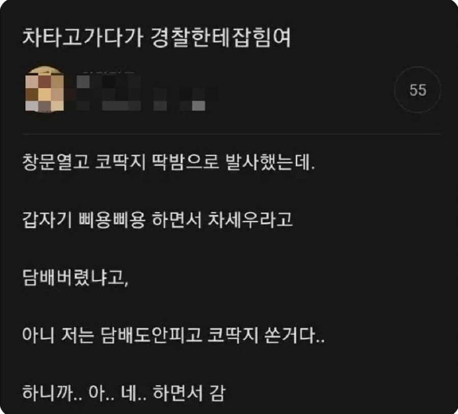 운전하면서 코 파다가 경찰한테 잡혔어.jpg_1.jpg