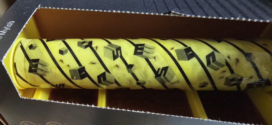 혐) 무단 점거자를 죽여왔다._2.jpg