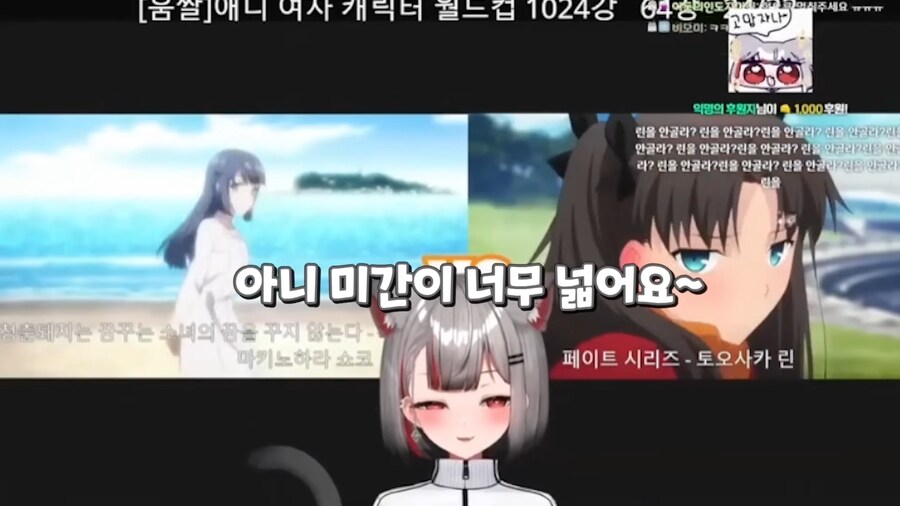 버튜버,페이트)토오사카 린 비난에 긁혀버린_12.png