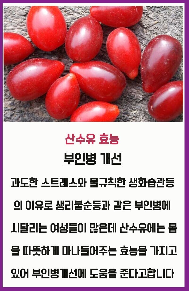 순수했던 그시절 유게(매운맛)_3.jpg