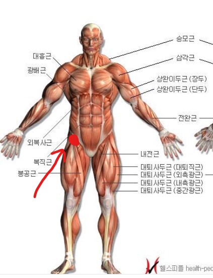 운동 고수님들 질문점..._1.png