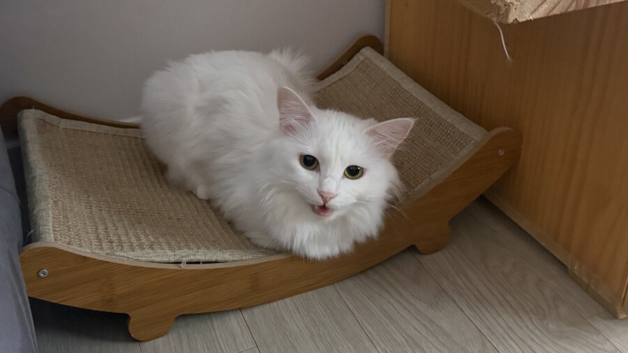 정은 주지 않겠다고 생각한지 500여일째_39.jpg