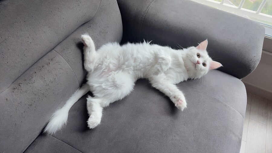 정은 주지 않겠다고 생각한지 500여일째_43.jpg