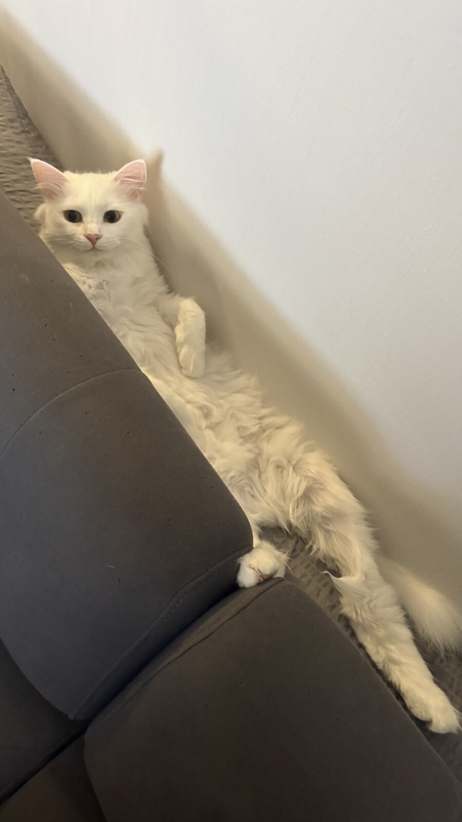 정은 주지 않겠다고 생각한지 500여일째_44.jpg