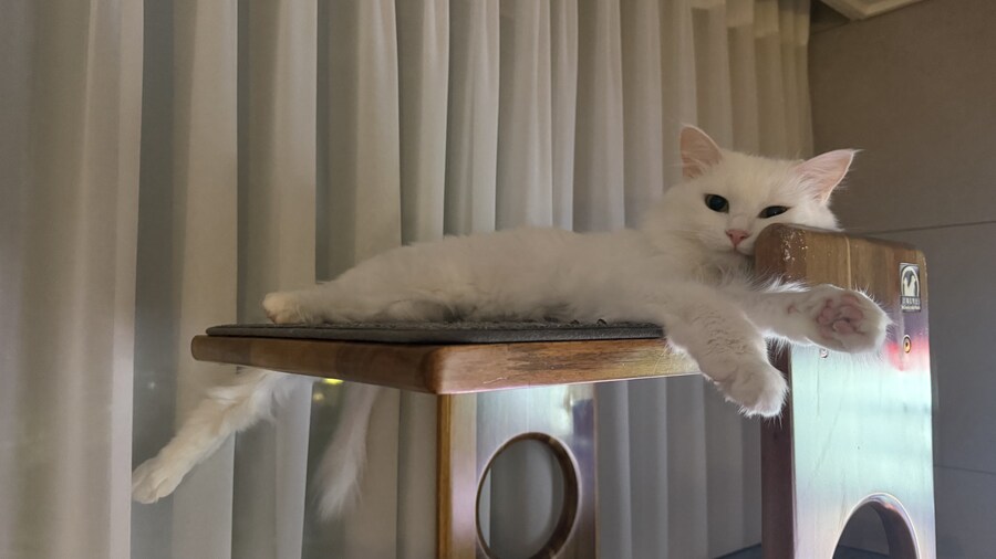 정은 주지 않겠다고 생각한지 500여일째_48.jpg