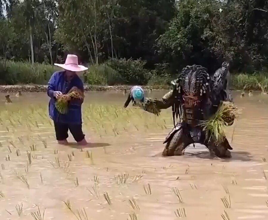 농부 프레데터.jpg_2.jpg