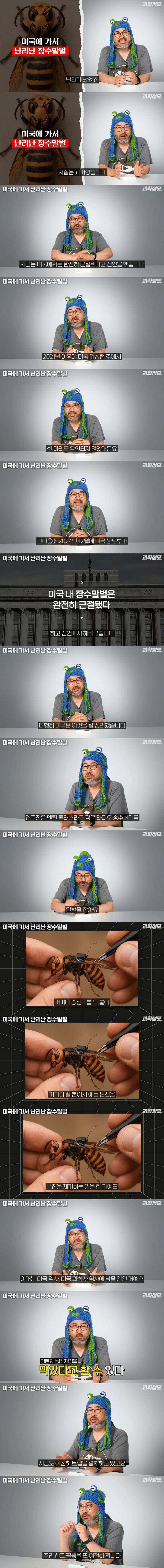 장수말벌과의 전쟁에서 승리 선언한 미국_1.jpg