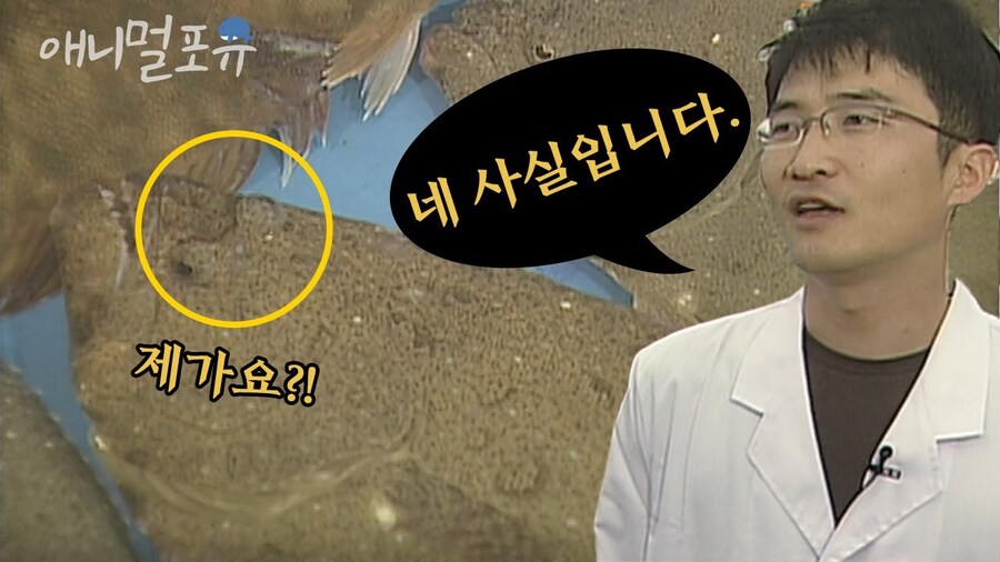 국제정세에 관심없는 대통령이 있다!?_1.png