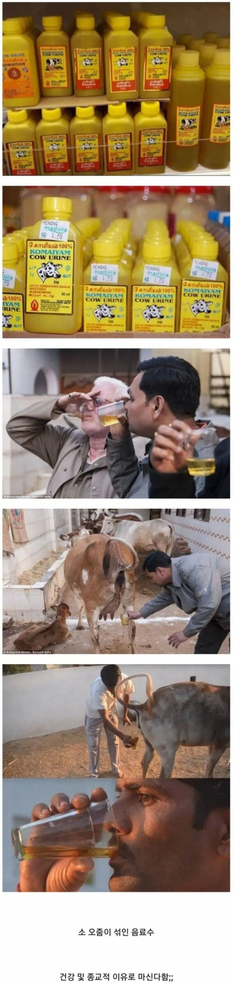 호불호 갈리는 린도린도의 드링크.jpg_1.jpg
