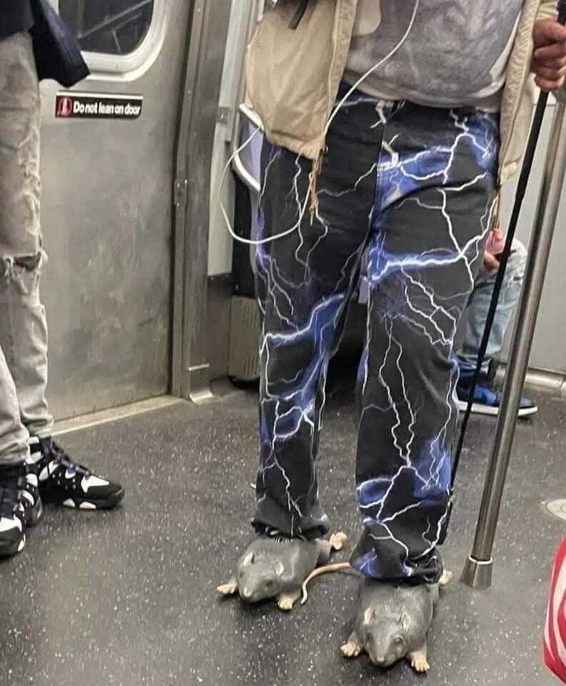 지하철 의문의 패션.jpg_1.jpg