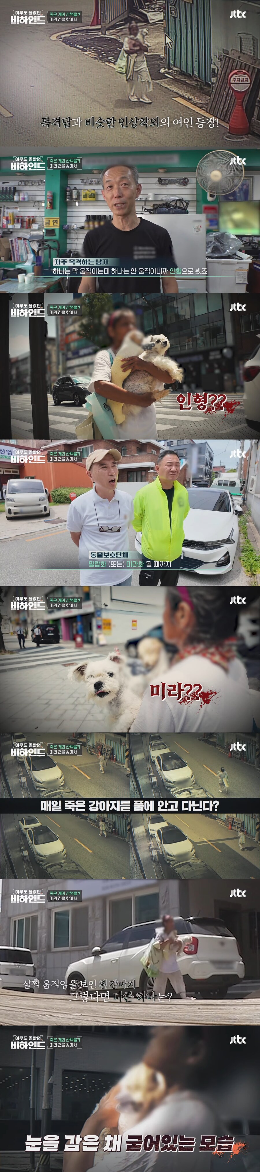 매일 죽은 개를 안고 다니는 여자의 사연_2.jpg