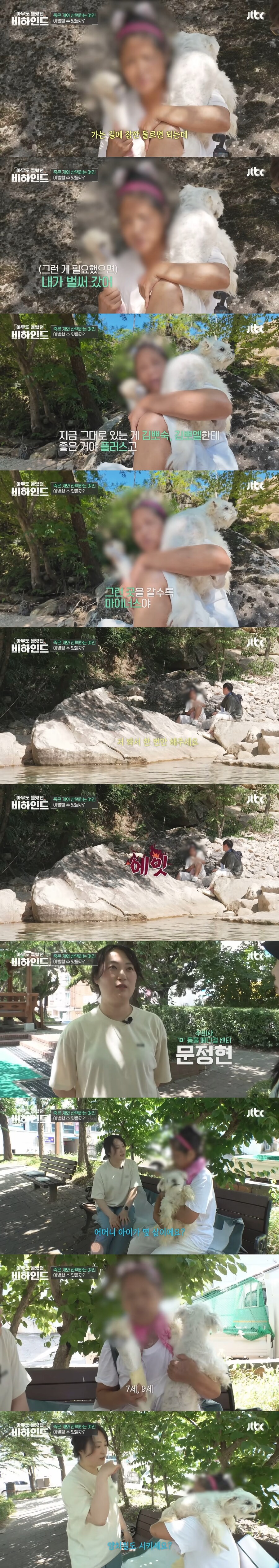 매일 죽은 개를 안고 다니는 여자의 사연_15.jpg