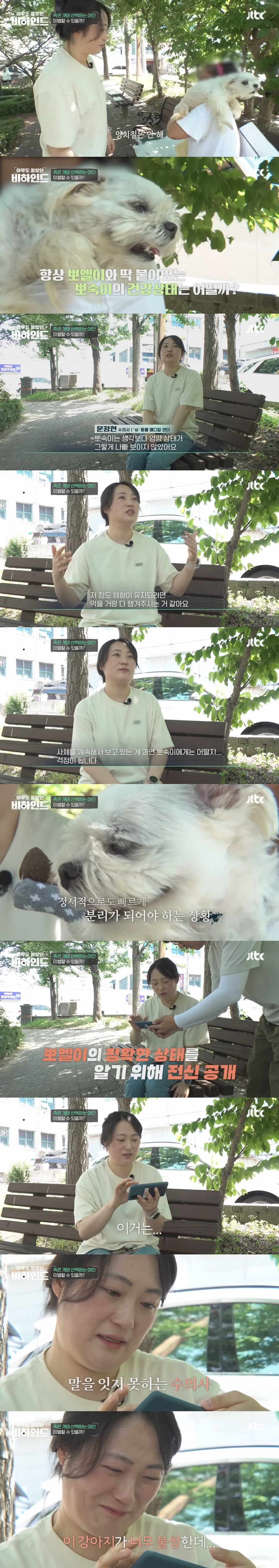 매일 죽은 개를 안고 다니는 여자의 사연_16.jpg