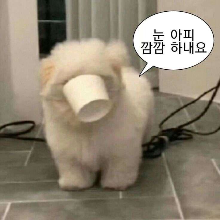 트릭컬) 으엥 ㅠㅠ_1.jpg
