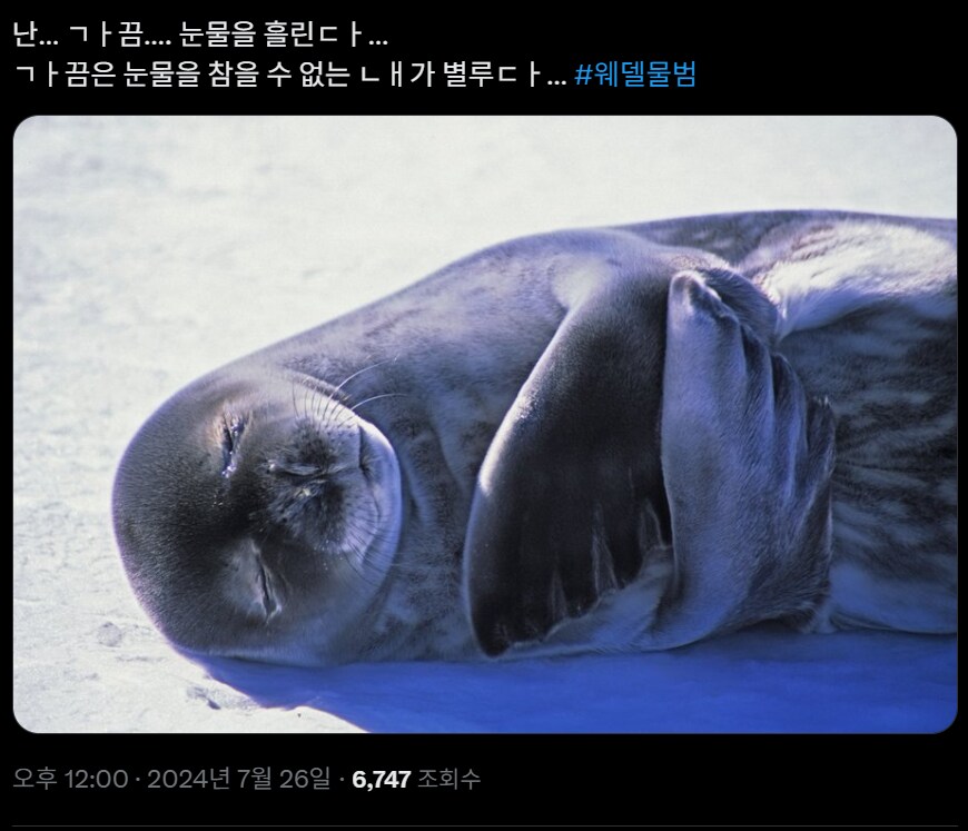 요즘 유머 감각 좋아서 자주 보는 계정_3.png