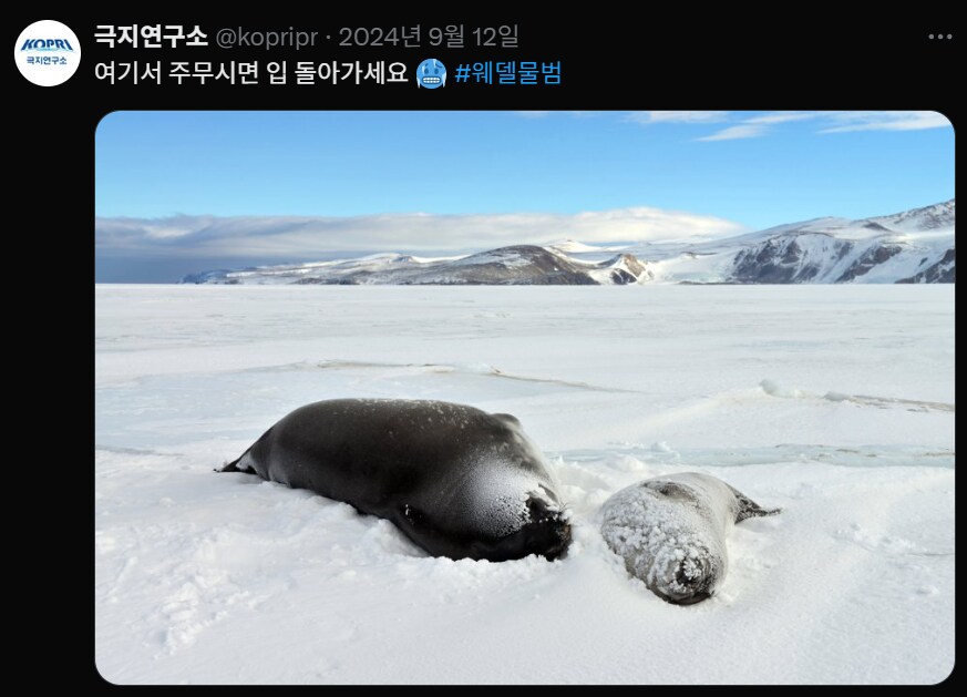 요즘 유머 감각 좋아서 자주 보는 계정_4.png