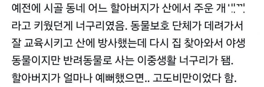 저건 개가 아니야 !개의모습을 하고있는 무언가라구_2.jpg