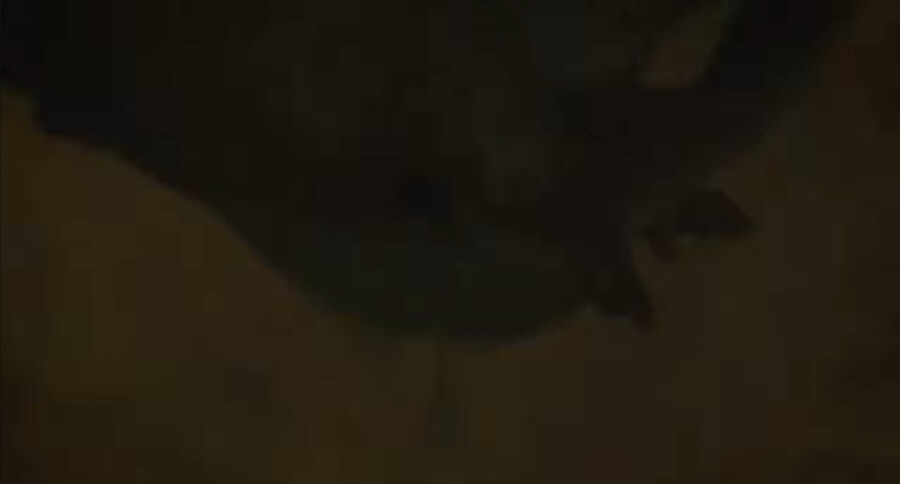 찐붕이들이 여자 잘 못 건드린 도시 괴담물(모자이크o)_101.jpg