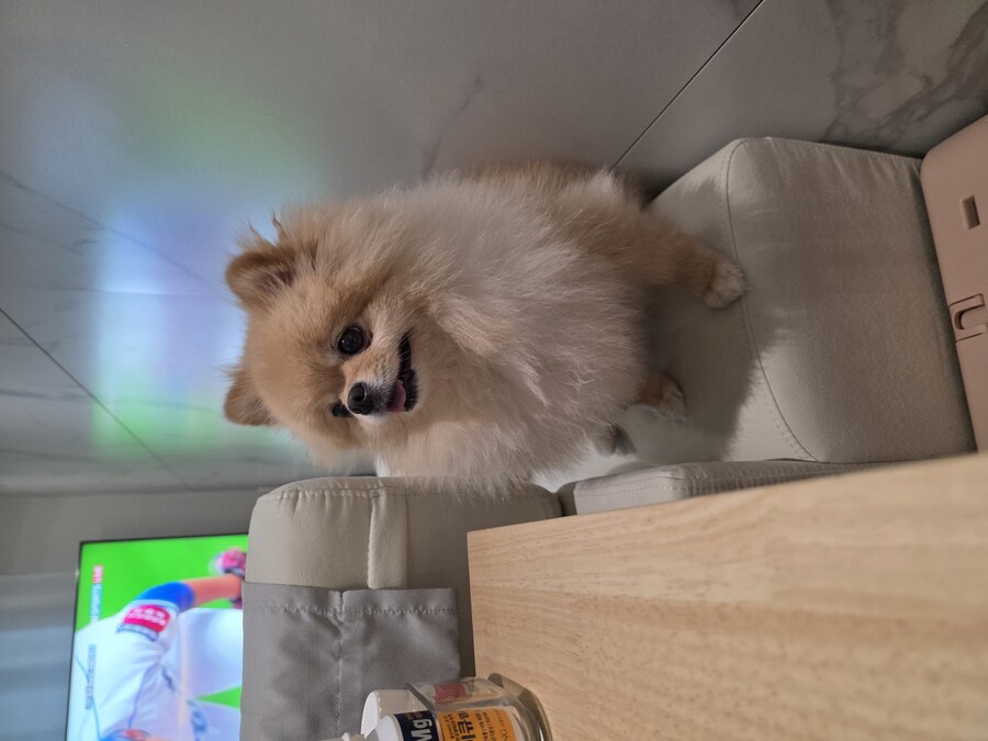 연애를 왜 하지 말라고 그러는거냐_1.jpg
