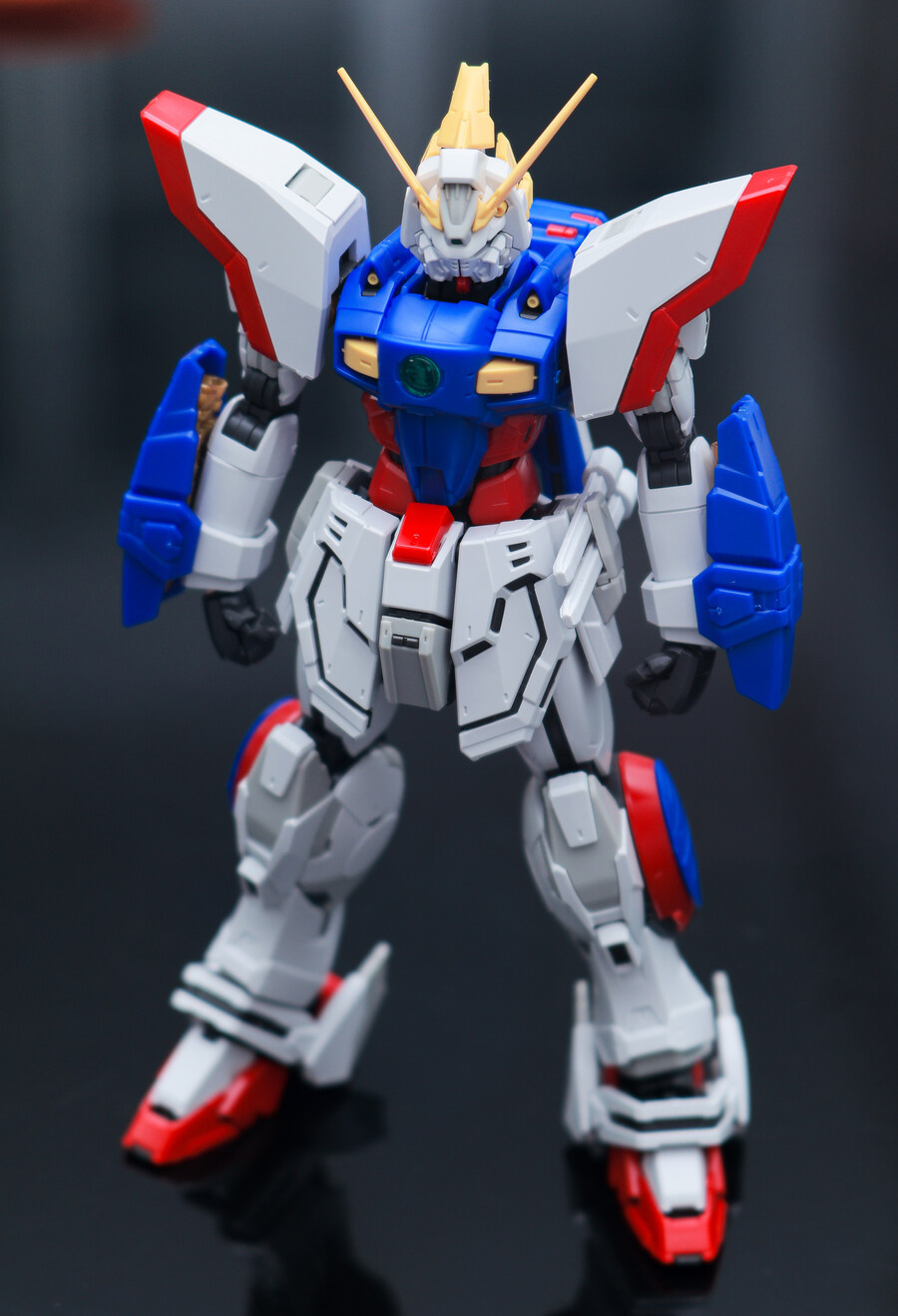 rg 샤이닝건담 조립완료!_1.jpg