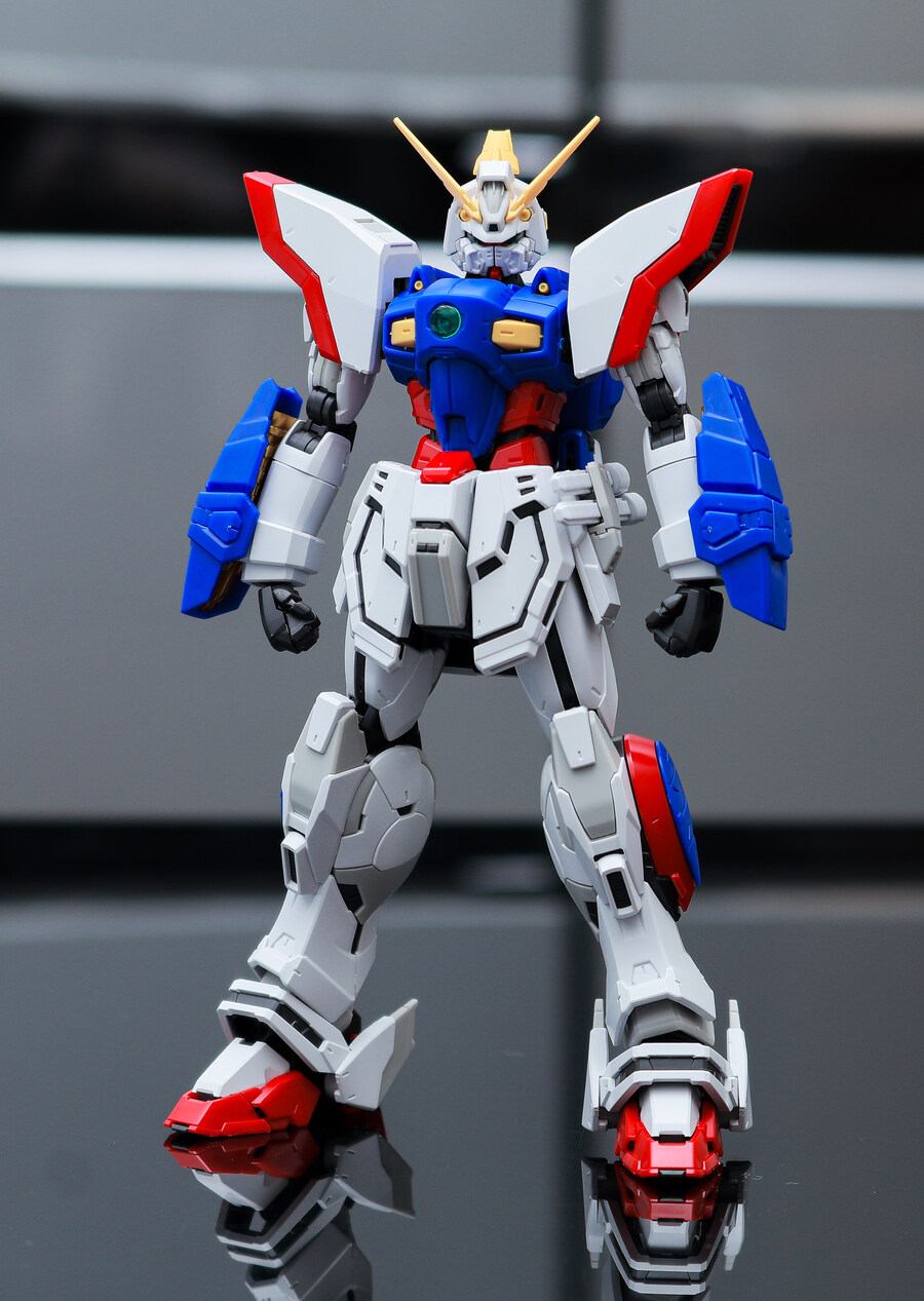 rg 샤이닝건담 조립완료!_2.jpg
