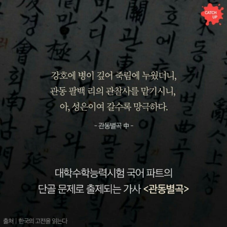 조선시대 알중 최강자_2.jpg