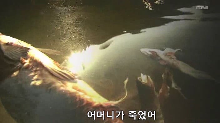 27년 전 대기업 공장때문에 가족과 동료와 고향을 잃은 남자_9.jpg