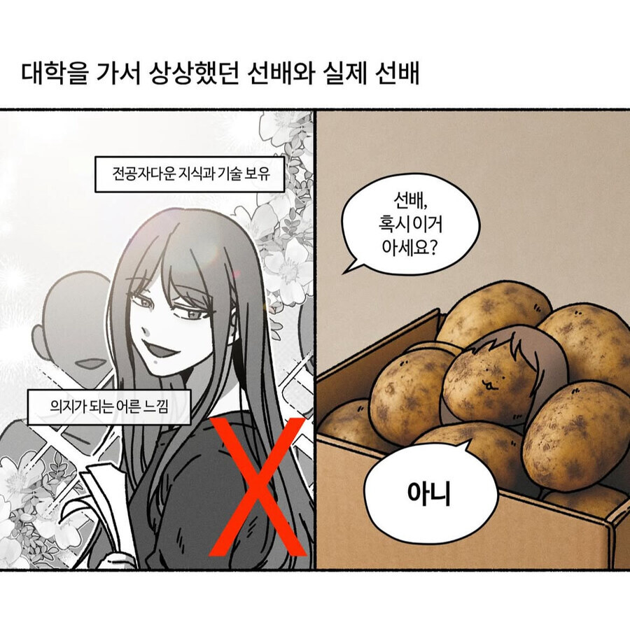 대학을 가서 상상했던 선배와 실제 선배_1.jpg
