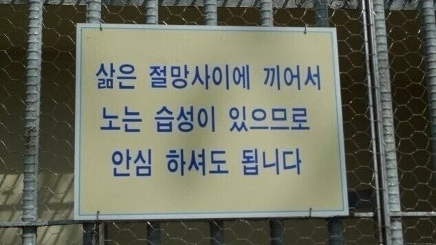 절망 사이에 끼인 칡ㅠㅠ😿_2.jpg