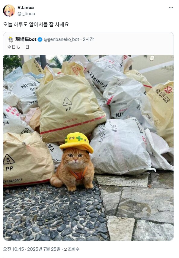 버튜버)세상 쿨한 하루 시작 응원을 남겨주는 버튜버_1.png