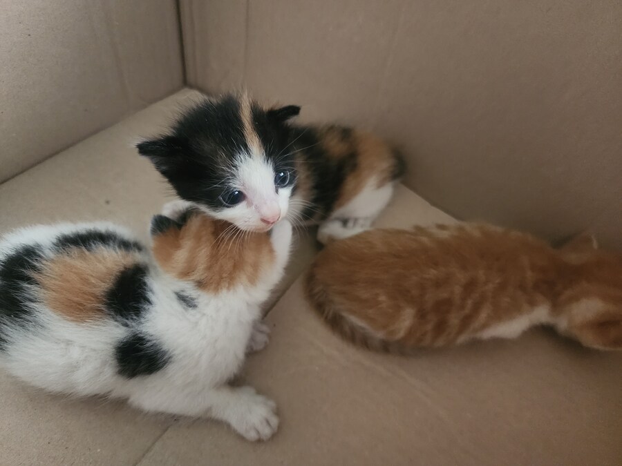 직원들이 급하게 불러서 내려가 봤는데..._3.jpg