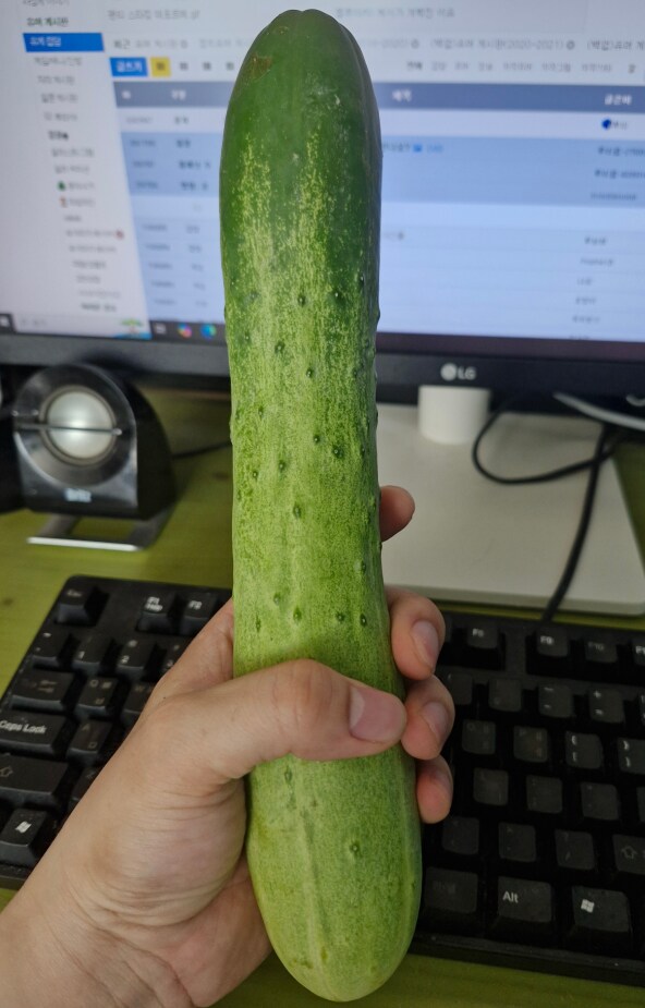 굵고 큰 오이_1.png