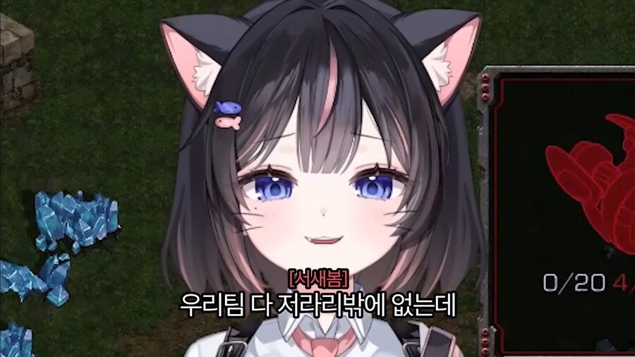 울라리가 가져온 폐해_2.jpg
