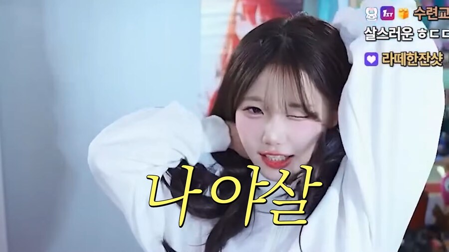 유튜브) 닉네임 때문에 오해받는 코스플레이어_11.png