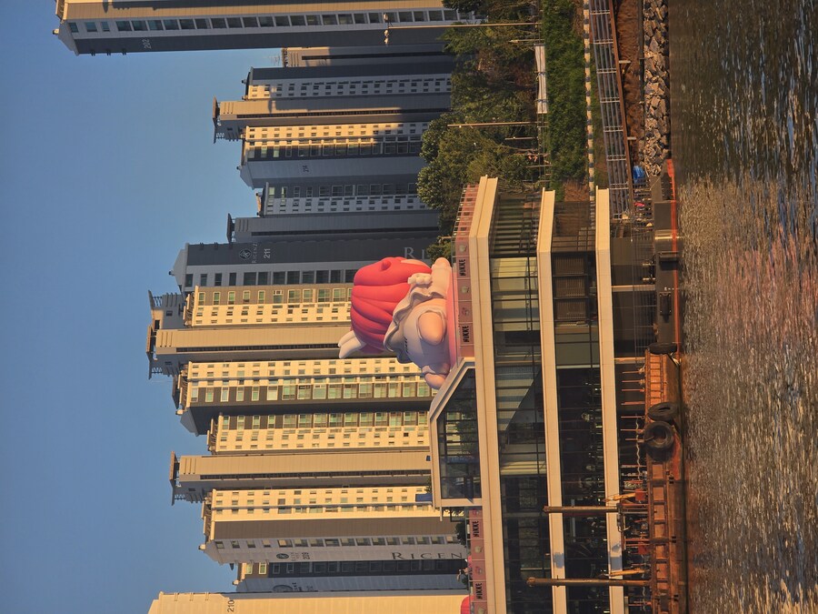 한강 도로롱 희귀한 사진.jpg_3.jpg