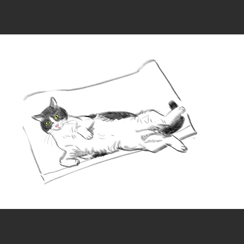 고양이)넘으집 고양이_1.png