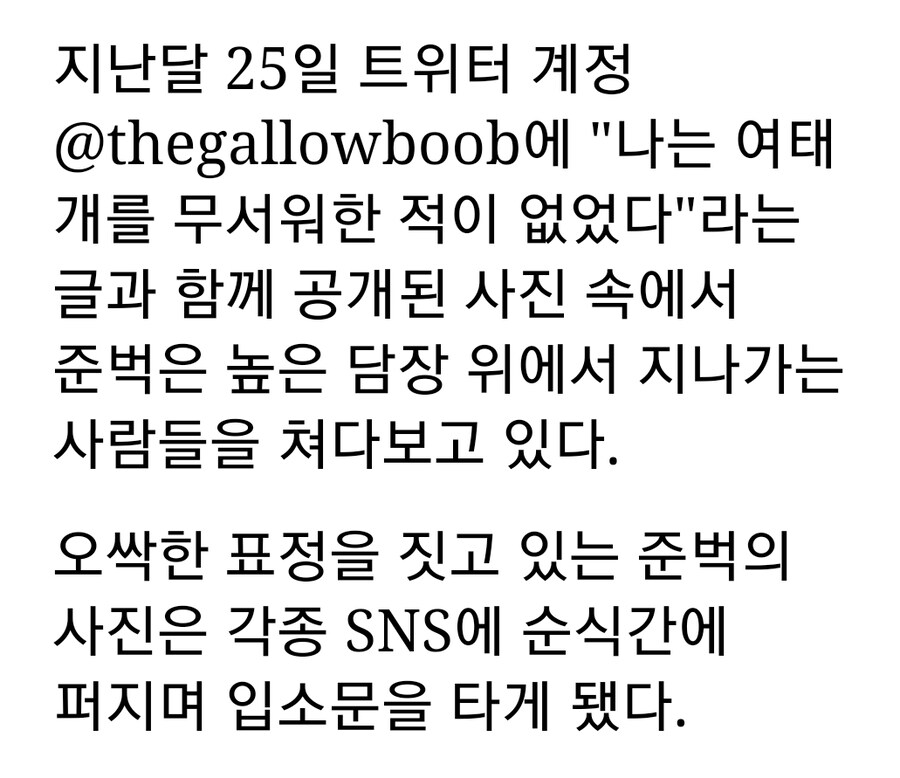 빌런 처럼 생겨서 유명해진 멍멍이.jpg_5.jpg