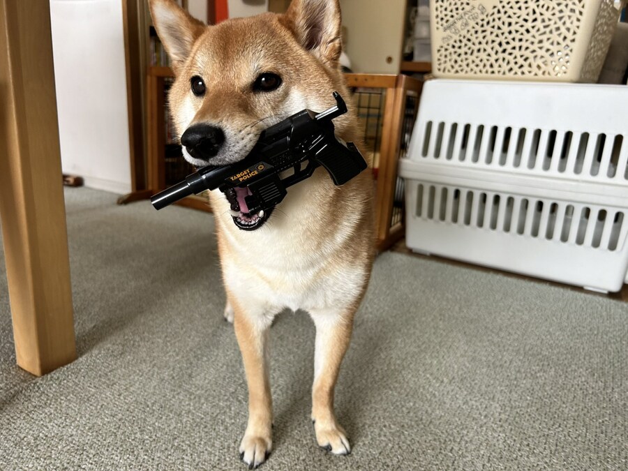 너무더워어어어어 시바아아ㅏ_1.png