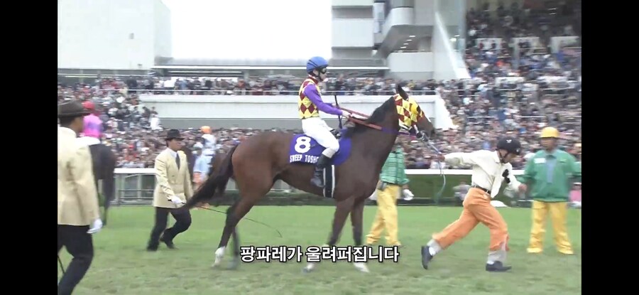 말딸,경마) 엘리자베스 스윕토쇼 경주 꼭 보라고 버튜버가 추천해서 봤는데_1.jpg