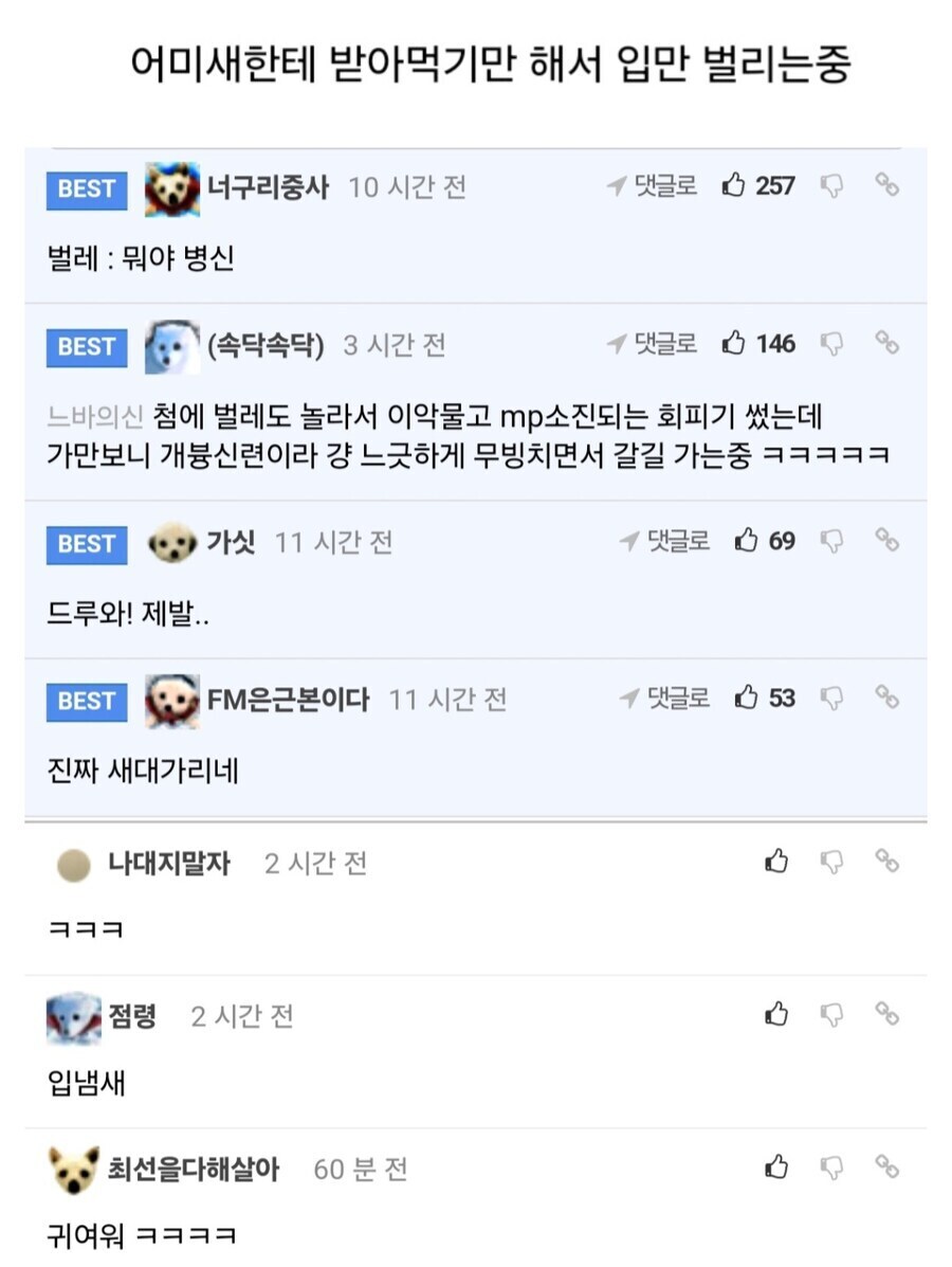독립한지 얼마 안된 아기새들이 겪게되는 상황_1.jpg