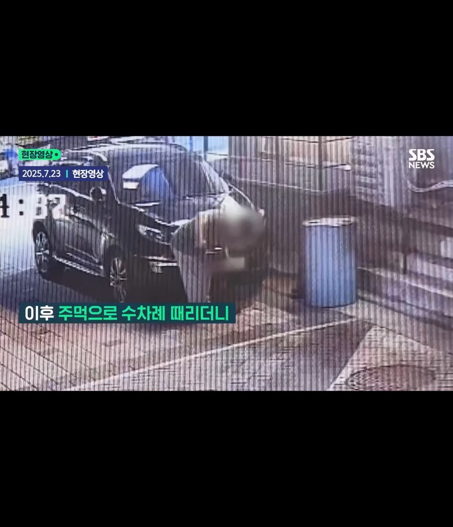 고양이가 할퀴어서 화가나 고양이를 죽인 남성_7.jpg