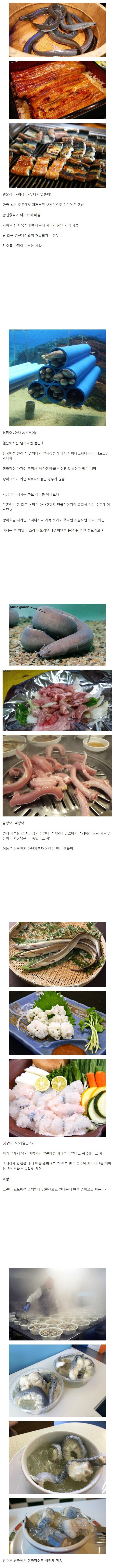 우리가 먹는 4종류의 장어 .jpg_1.jpg