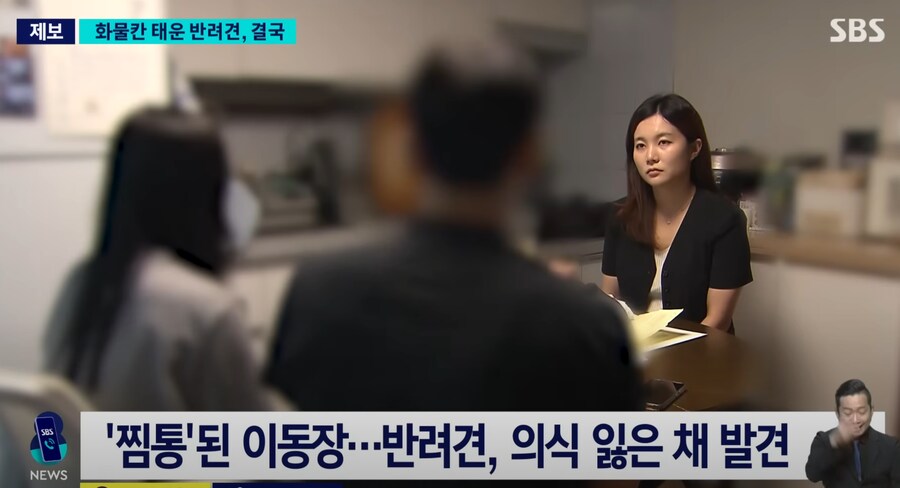 어느 견주때문에 반려견이 죽은 이유_4.png