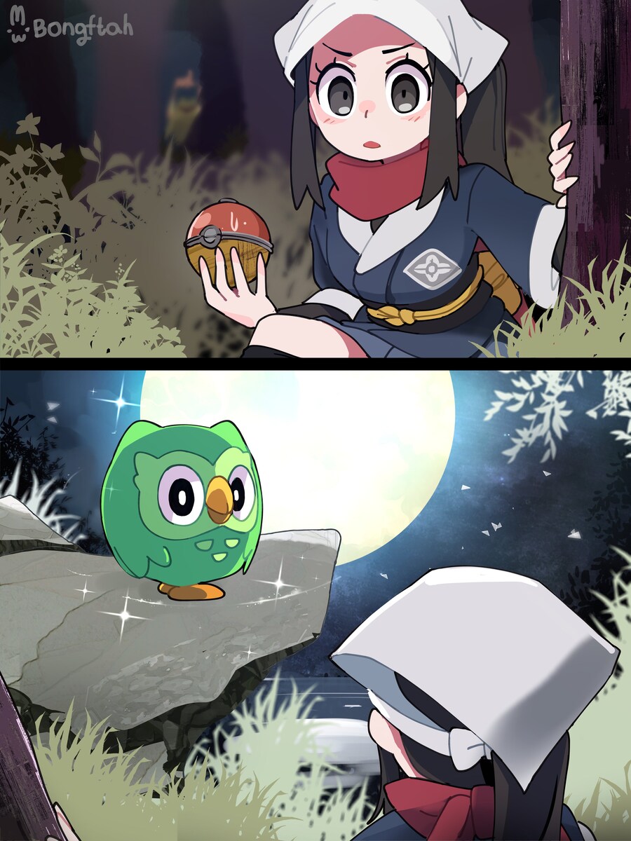 ??? : 야생의 부엉이 포켓몬 발견!_1.png